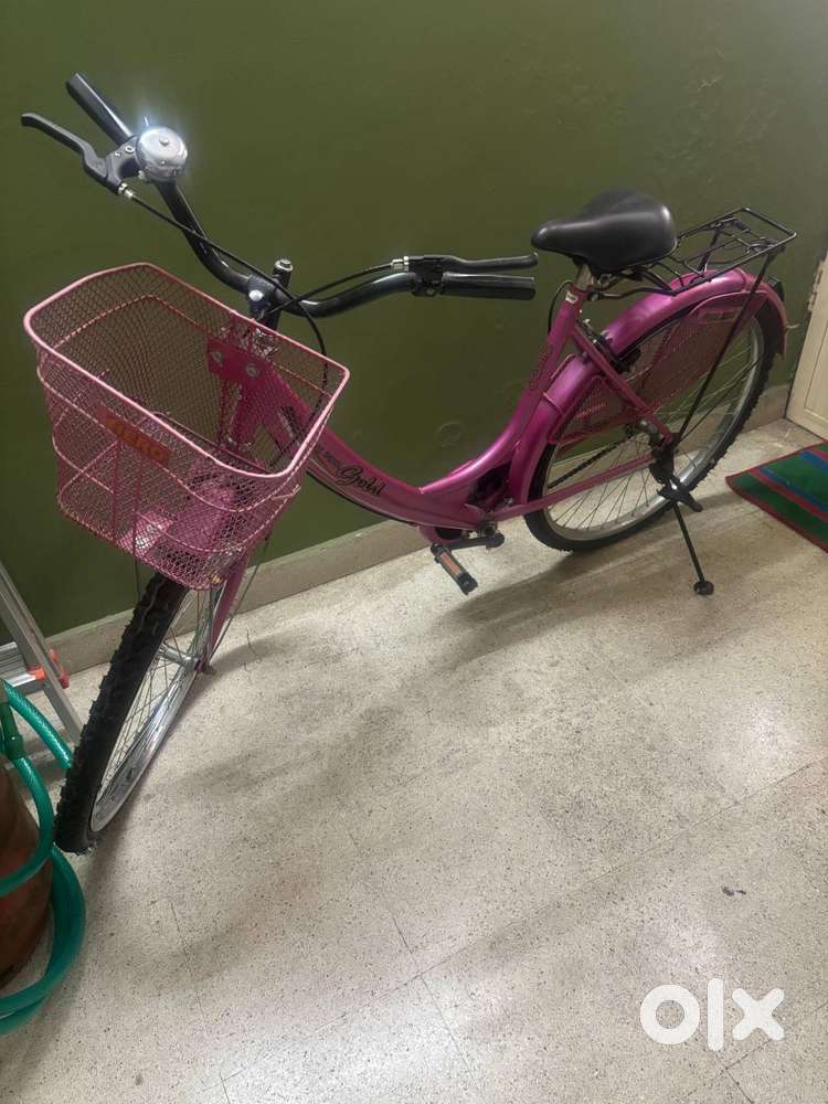 Hero Ladies Cycle, 10 ears