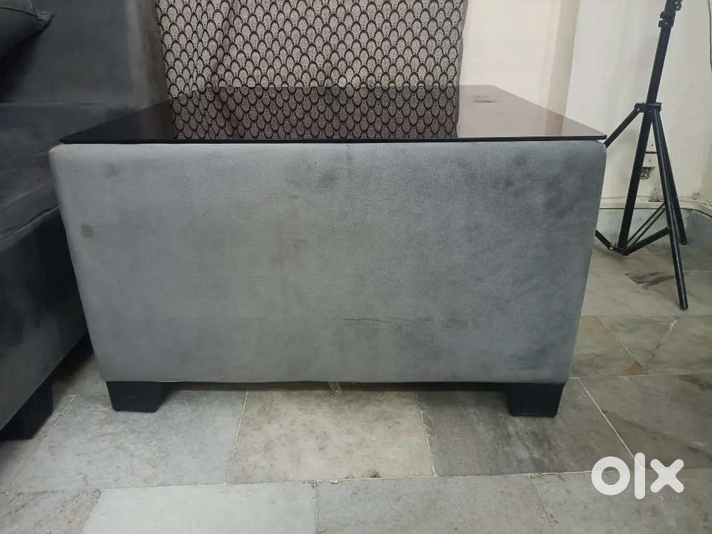 Sofa set with Centre Table