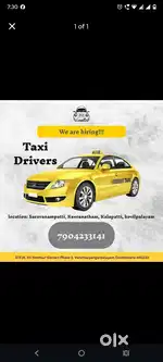 Taxi Driver wanted