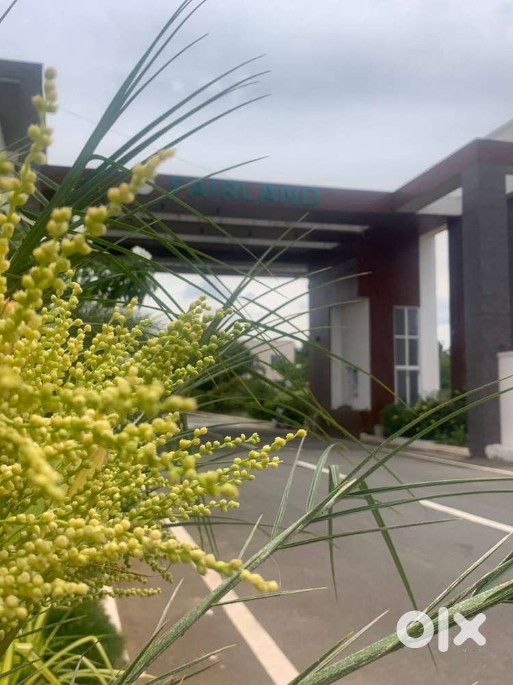 2.75 Cents Layout With Fairland Shops.