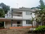 Rent home for bachelors