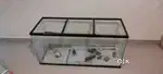4x2  Feet Fish Tank