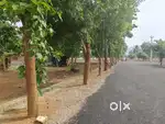 VUDA approved plots for sale near anakapalli APIIC