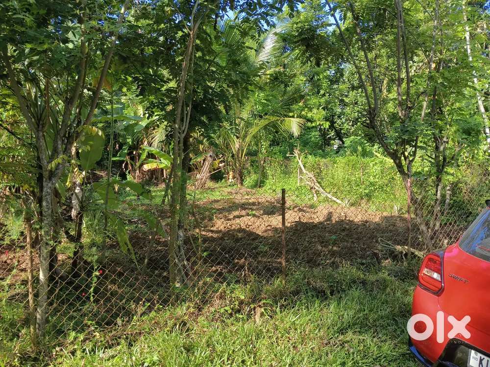 7 cent land near pullad for sale urgent
