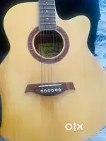 Guitar - Kadence warner WR-4020 model