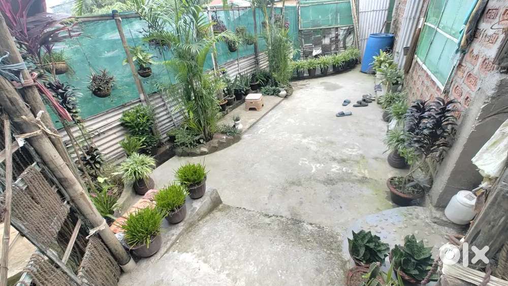 Birubari hill side eksoniya mati sale