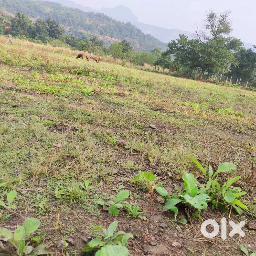 Agriculture Land Sale in Pali Khopoli Road