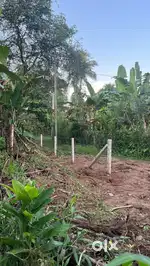 Land suitable for constructing house (land type:- purayidam )