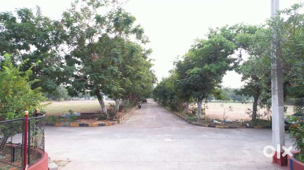 NEW VENTURE OFFER  PLOTS AVAILABLE FOR SALE.