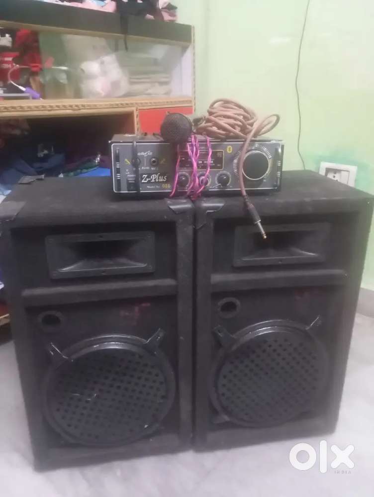 Speaker 10 inch