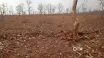 17-ACRE AGRICULTURAL LAND FOR SALE**  AT MAHAKALI