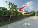 240 Gaj residential plot for sale in badrish colony near kargi