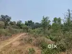 Rent this land  for bussiness purpose