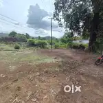 2.5 lakh per guntha Cheapest farmhouse plot for sale in konkan