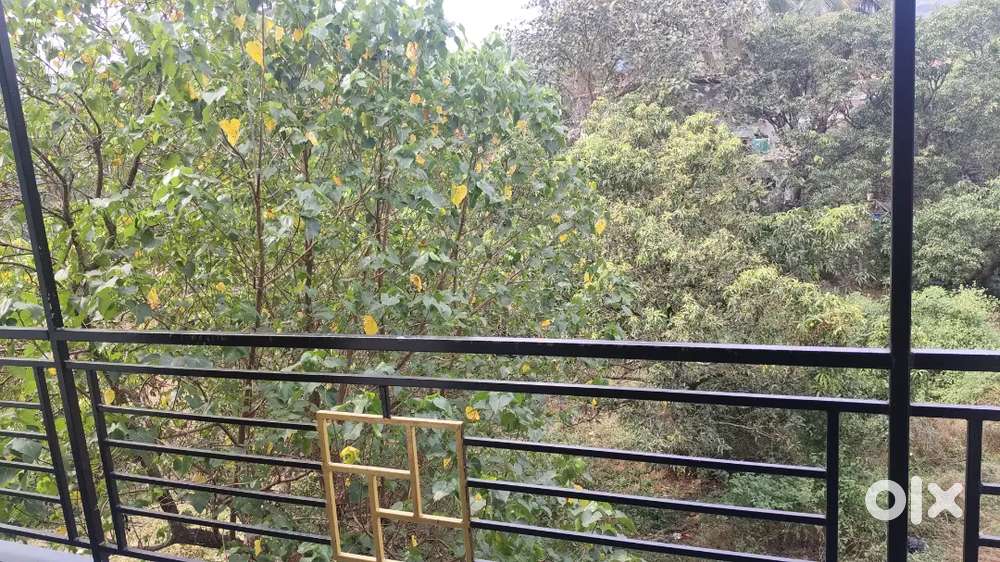 Rooms on rent and daily basis