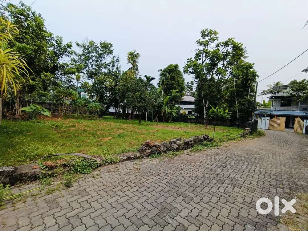 14 Cent Aluva Karumalloor House Plot Tar Road Frontage