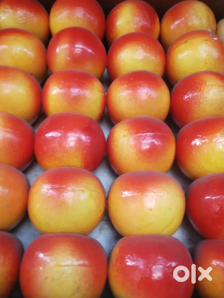 Sugar cane  space available for rent ..at mpm mall abids opposite GPO