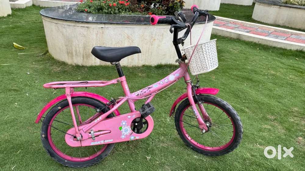 BSA Champ 14T Kids Bicycle - Ready to Ride!