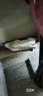 Dona Cups Machine (Fully Automatic)