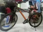 Gang Cycle with Disbrake