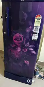 LG 4 Star Fridge