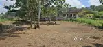 Pullad Onalilmooku near 12 cent house plot.