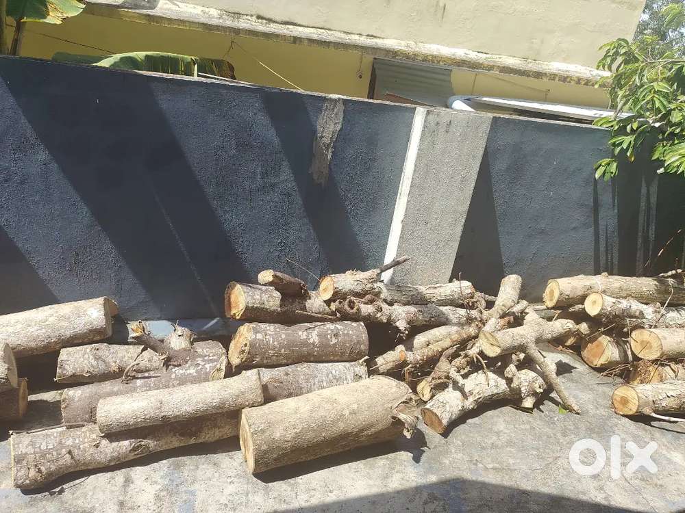 തേക്ക്, പ്ലാവ്,വേപ്പ് തടികൾ ഉടൻ വില്പനക്ക്