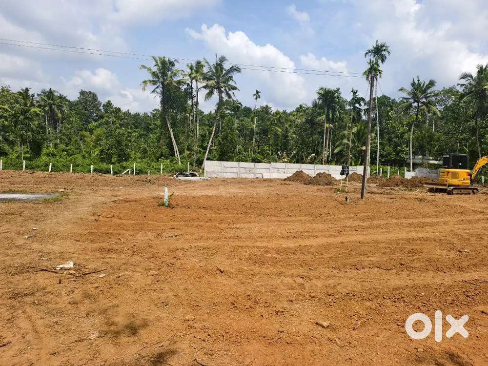 കറ്റാനം കരിമുള്ളകൾ പ്ലോട്ട് തിരിച് വസ്തു വില്പനക്ക്