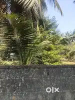 Thrissur mission quarters 12 cent plot for sale per cent 20 lakh