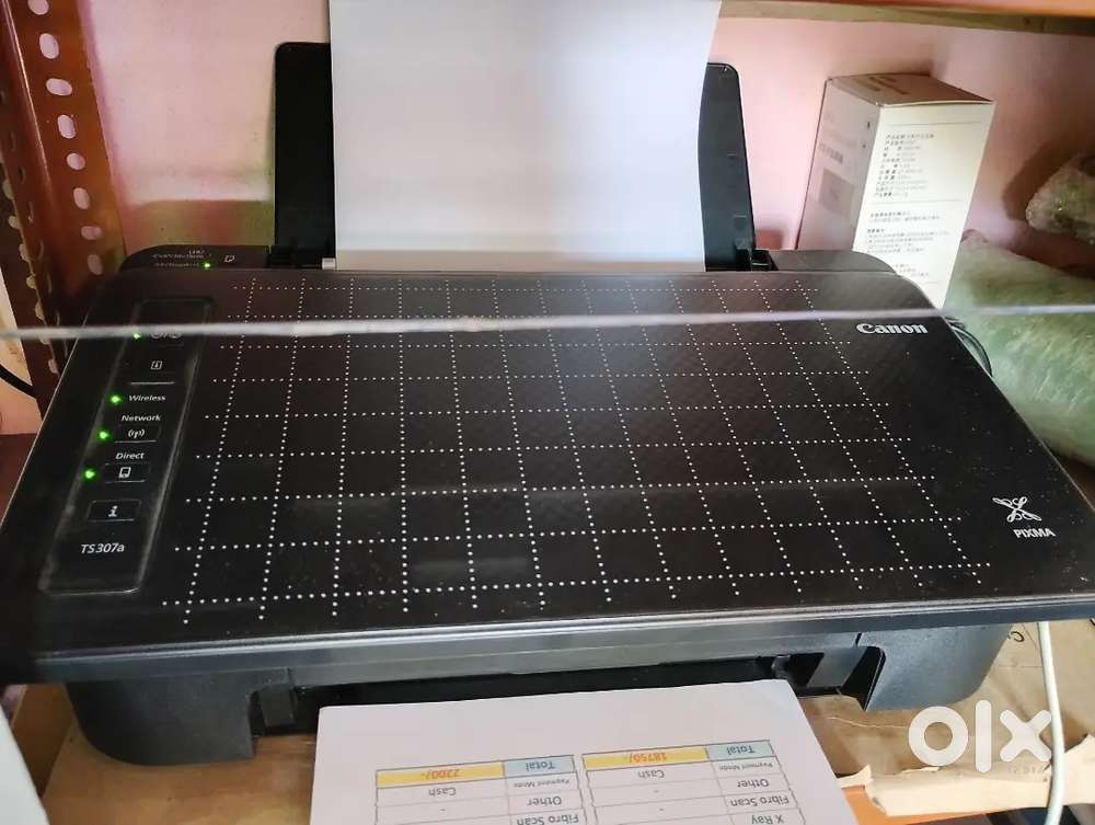 Canon Colour Printer (PIXMA TS307a)