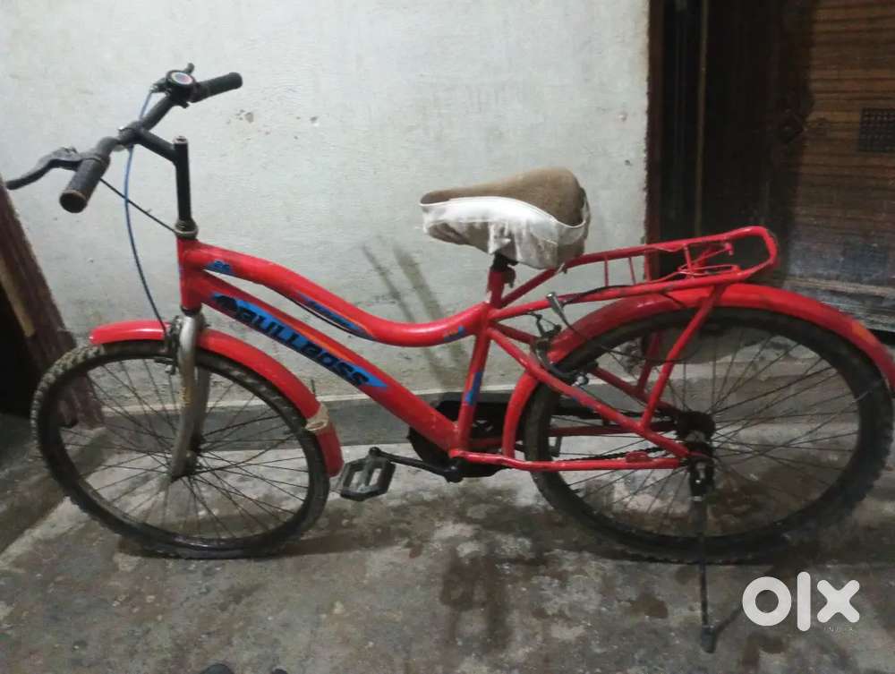 Cycle bech rahe hai