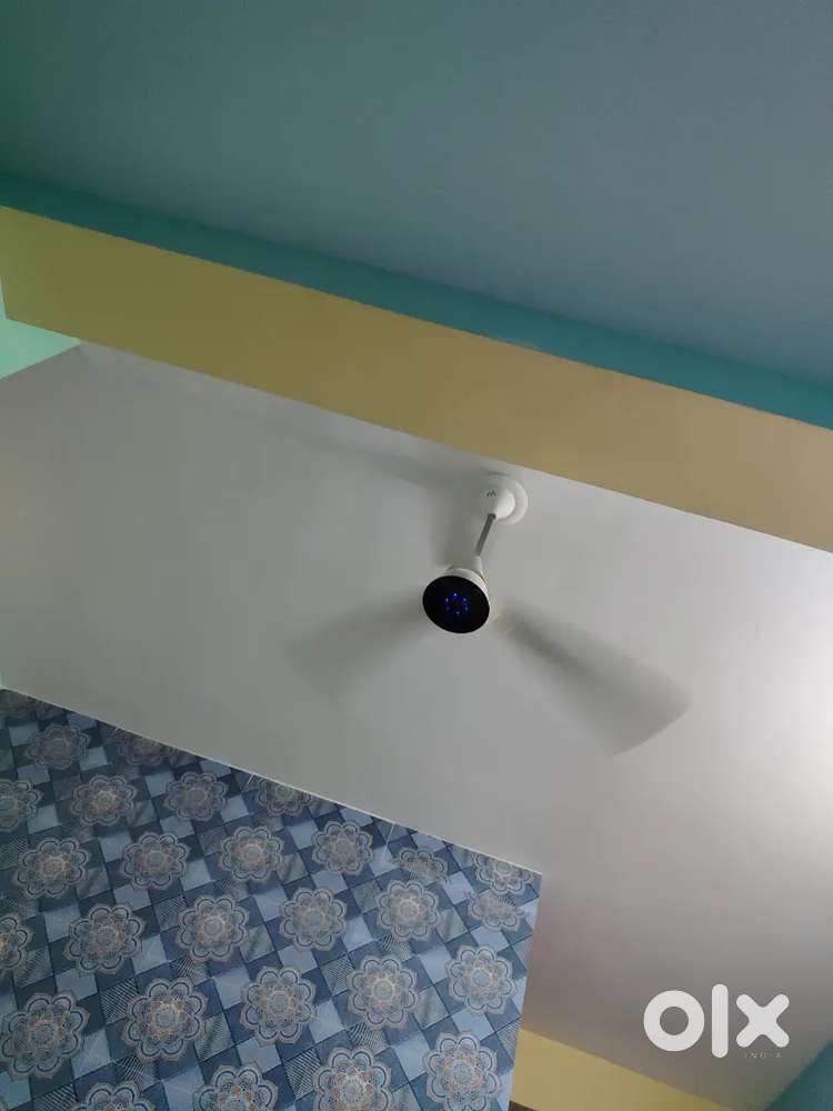 Need room mate location chinar park only female