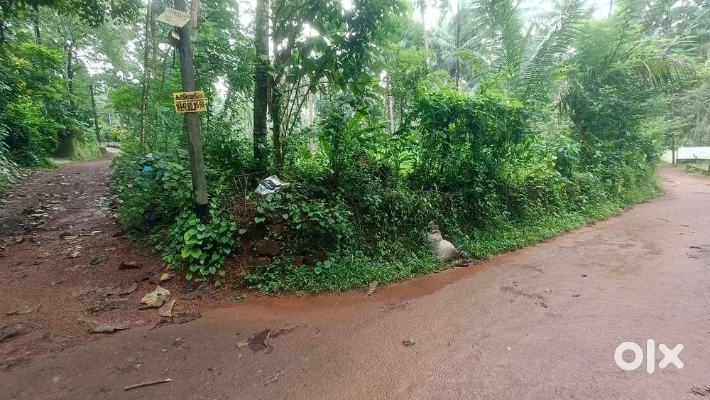 13 cent plot for sale