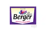 Sales Executive at Berger Paints