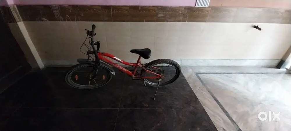 Gear Cycle with sharp looks