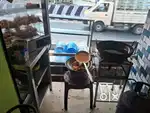 Tea master,sarakku master
