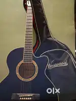 Westwood guitar