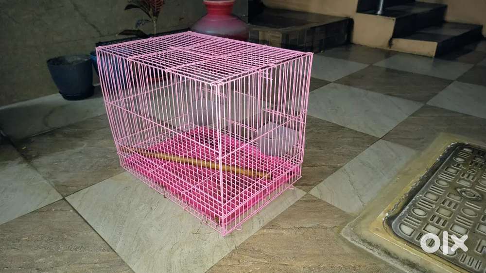 Pet cage for love Birds small