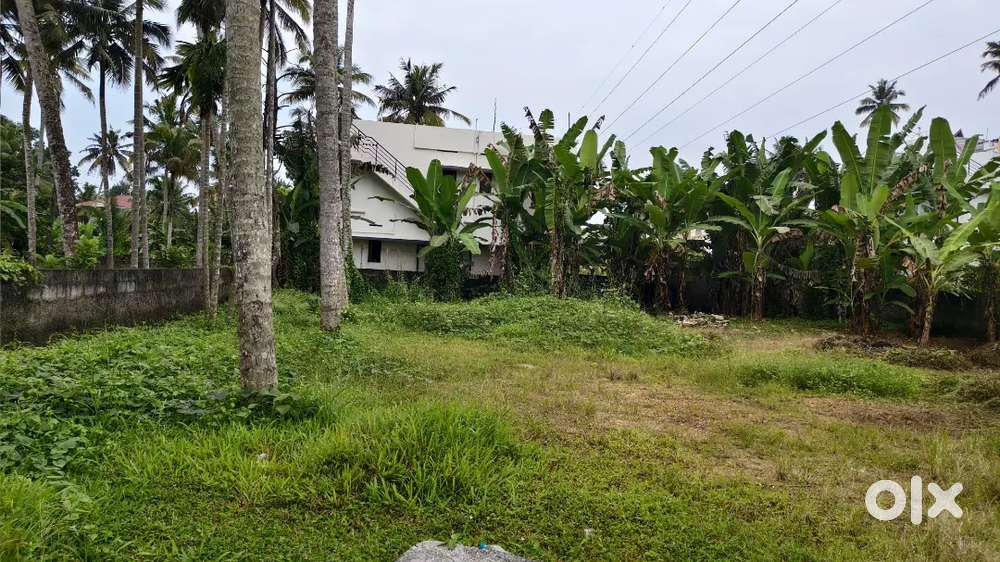 PRIME LOCATION PONGUMMOODU BAPPUJI NAGAR ROAD 15 CENT LORRY SITE