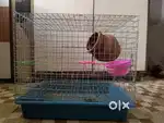 Bird Cage with Matki