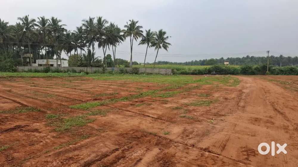 DTCPApproved site at othakalmandapam  just 2 min walkable from highway