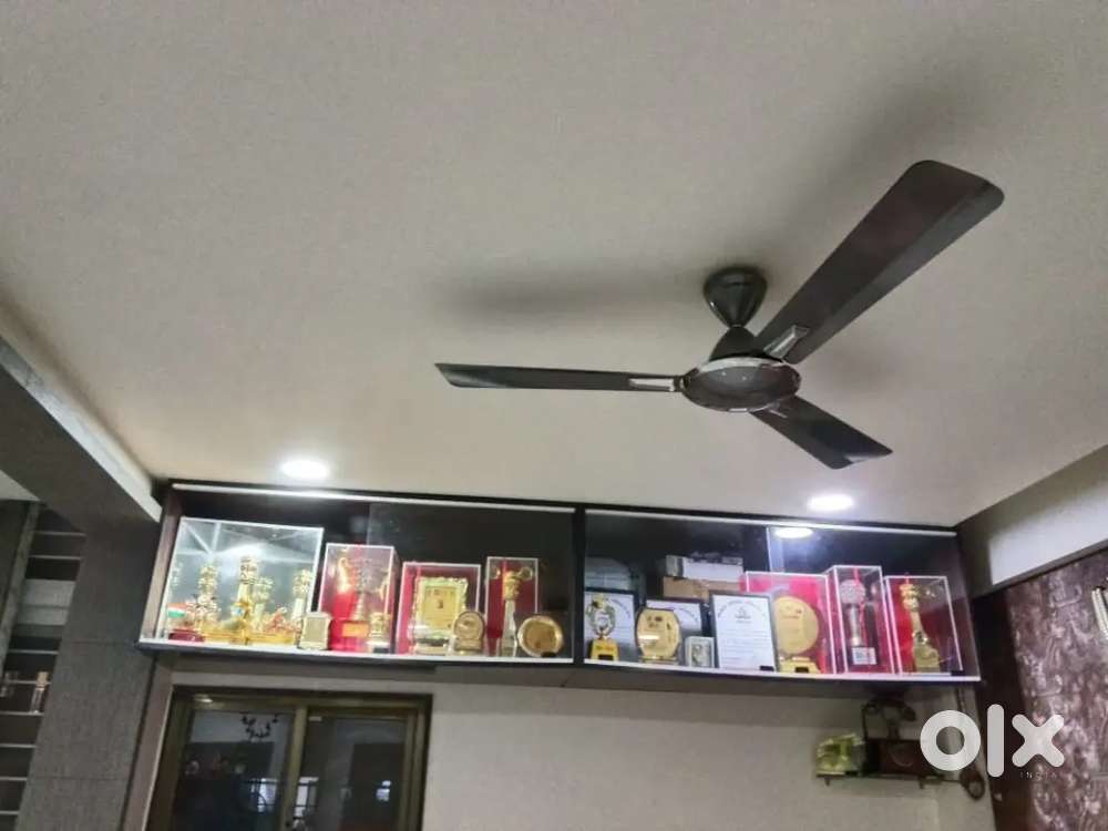 Trophy or Show piece unit