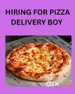 Pizza Delivery Expert