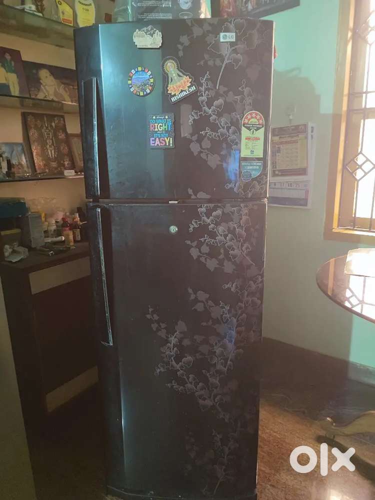 LG Double door 5 star