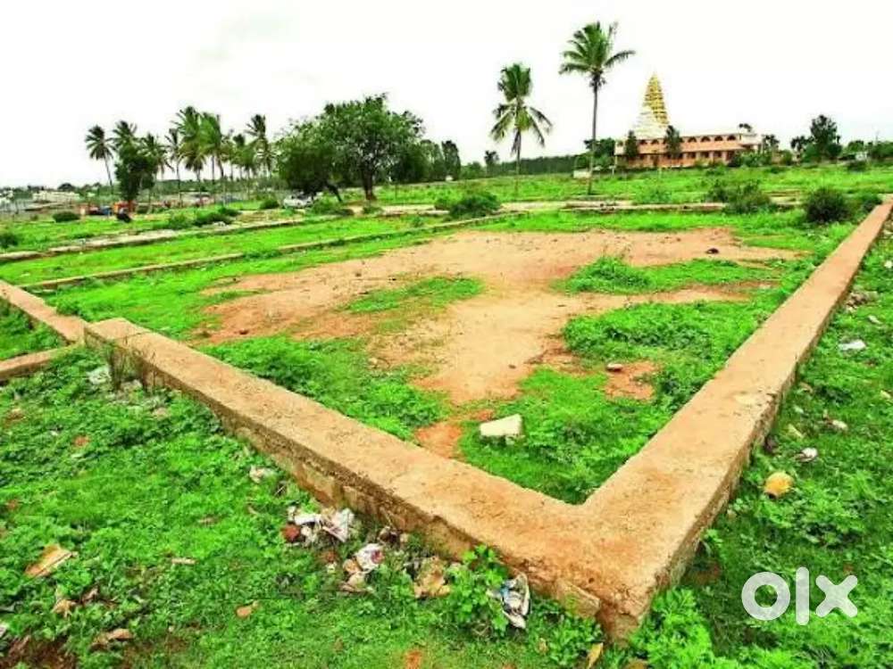 Plot for Sale at exclusive price