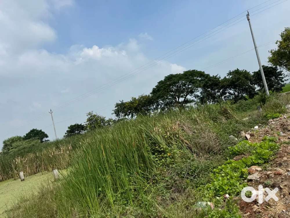 LAND PLOT IN NAMBURU VVIT COLLEGE
