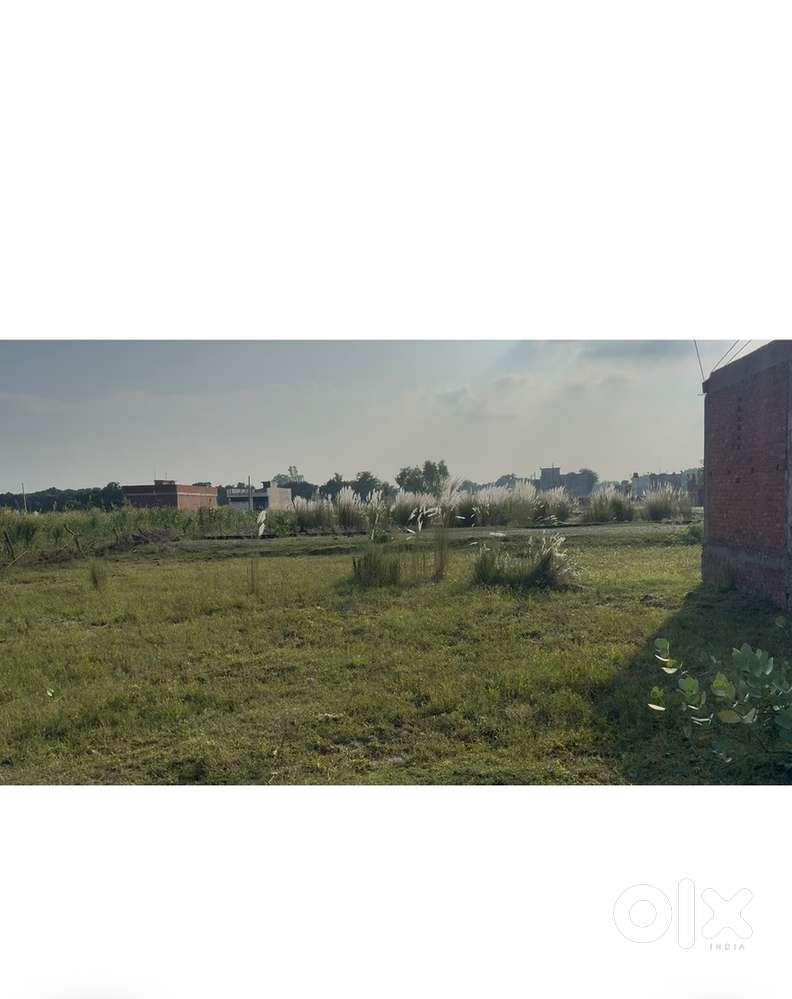 Plot In Mohan Road 1400/Sq.Ft Price Negotiable hai