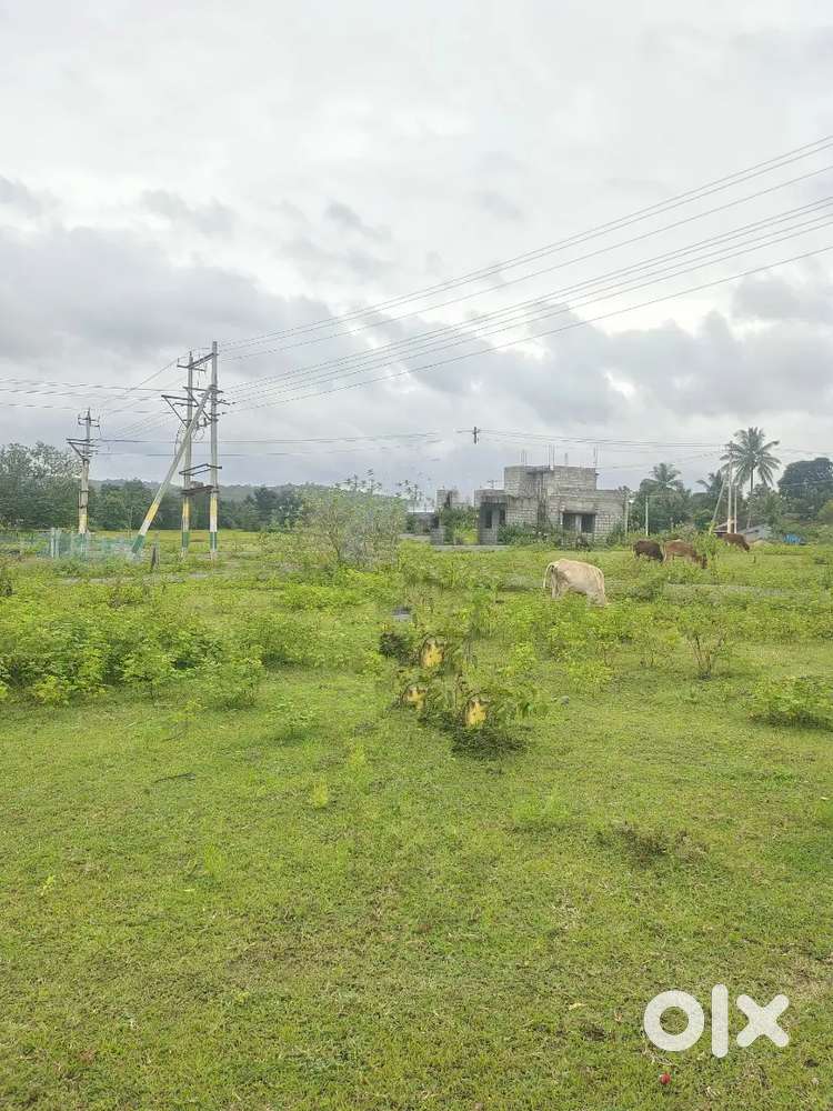 Swamy layout site no 12