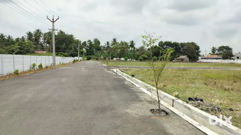 ANNUR TO AVINASHI MAIN ROAD NEAR DTCP PLOTS FOR SALE