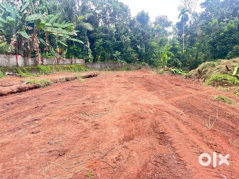 Plot for sale in pallom